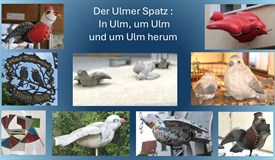 12:Ö Der Ullmer Spatz