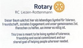 Erläuterungstafel zur Freundschafts-Eiche